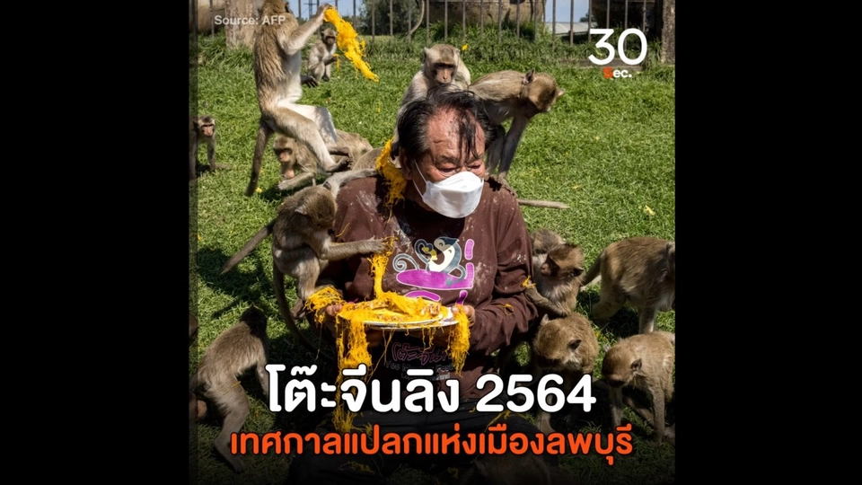 โต๊ะจีนลิง 2564 เทศกาลแปลกแห่งเมืองลพบุรี