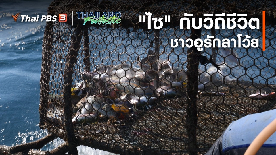 ​Unseen Thailand Fantastic : "ไซ" กับวิถีชีวิตชาวอูรักลาโว้ย