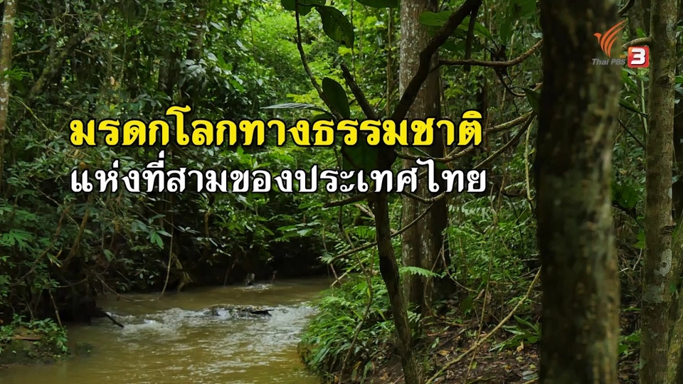 ​"แก่งกระจาน" มรดกโลกทางธรรมชาติแห่งที่สามของไทย