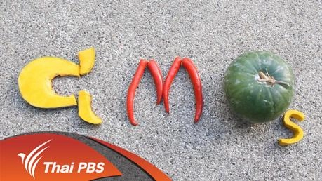 GMOs ที่รัก