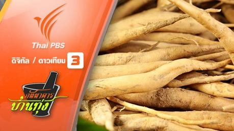 ตอนพิเศษ รากสามสิบ