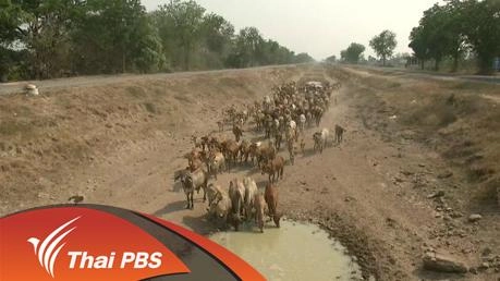 ประเด็นข่าว (16 มี.ค. 59)