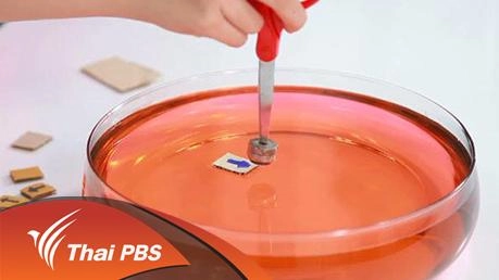 แม่เหล็กดูดกระดาษ