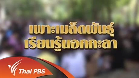 เพาะเมล็ดพันธุ์ เรียนรู้นอกกะลา