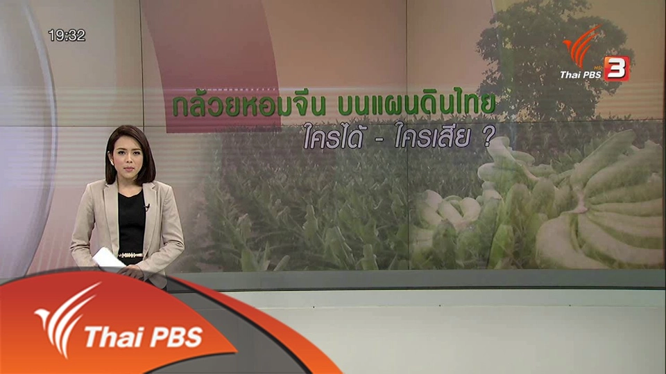 กล้วยหอมจีนบนแผ่นดินไทย ใครได้-ใครเสีย