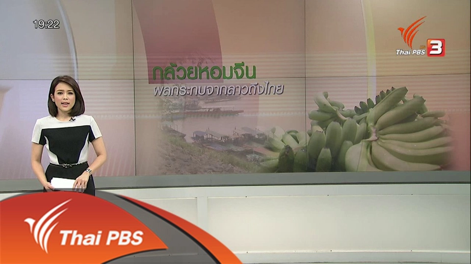 กล้วยหอมจีน ผลกระทบจากลาวถึงไทย