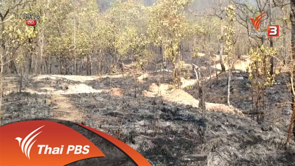 ประเด็นข่าว (10 พ.ค. 59)