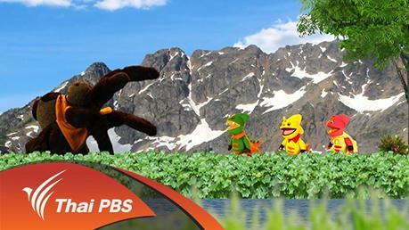 เป็นเพื่อนกับแมงมุมยักษ์