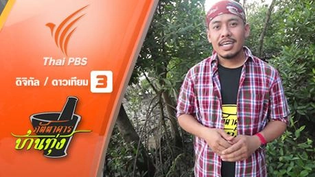 ตอนพิเศษ แมงมัน