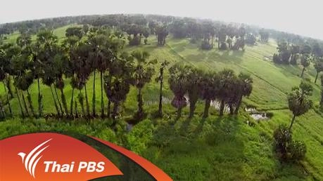 พืชผักชายไฟ