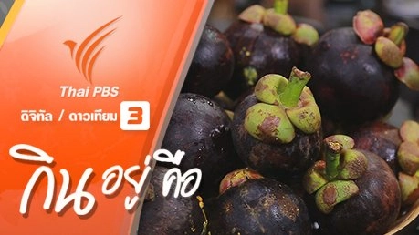 มังคุด ราชินีผลไม้หน้าร้อน