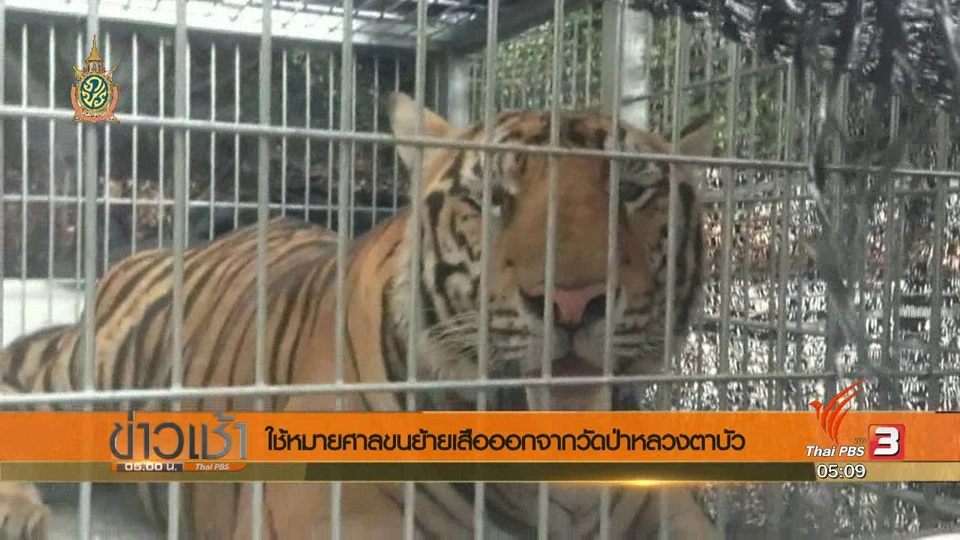 ประเด็นข่าว (31 พ.ค. 59)