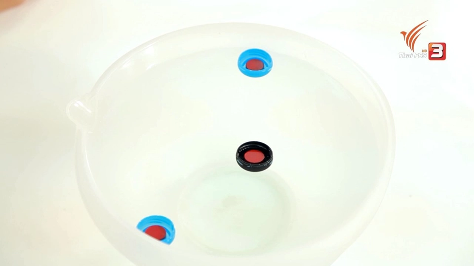 ไอซายน์ประดิษฐ์ : แม่เหล็กทำให้เกิดรูปเรขาคณิตได้อย่างไร