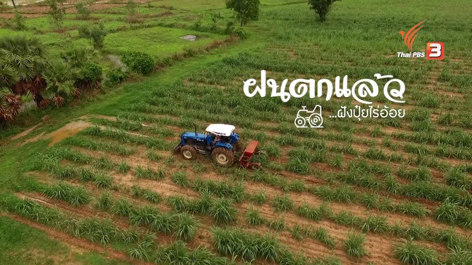 ตอนที่ 13