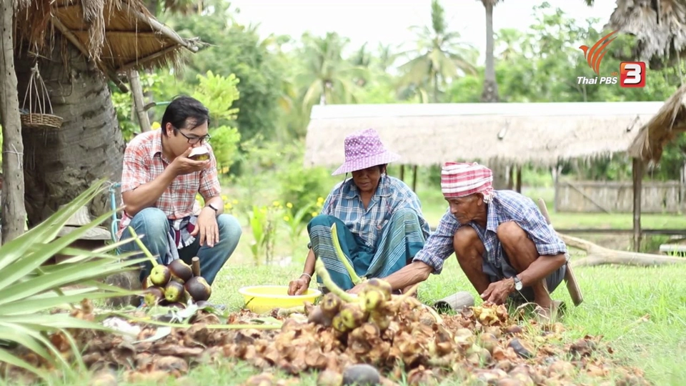 จ.เพชรบุรี
