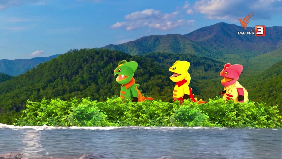 เต่าตัวจิ๋วพาเที่ยว