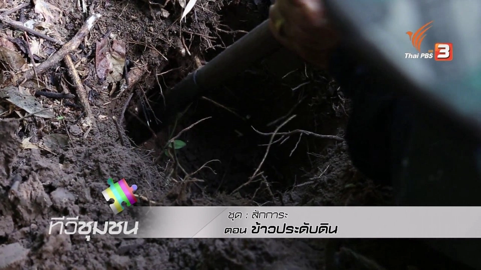 ข้าวประดับดิน