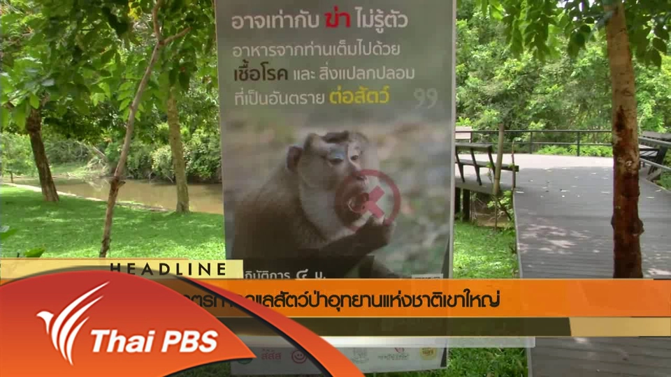 ประเด็นข่าว (7 มิ.ย. 59)
