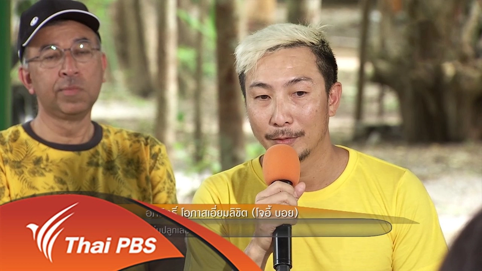 ปลูกเลย ป่าน่าน