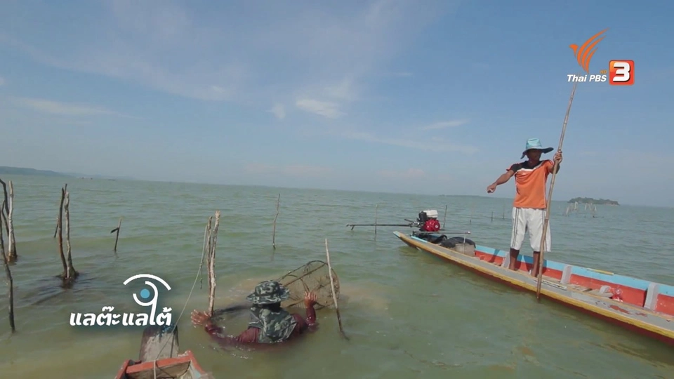 ป.ปลา อนาคตที่วาดได้