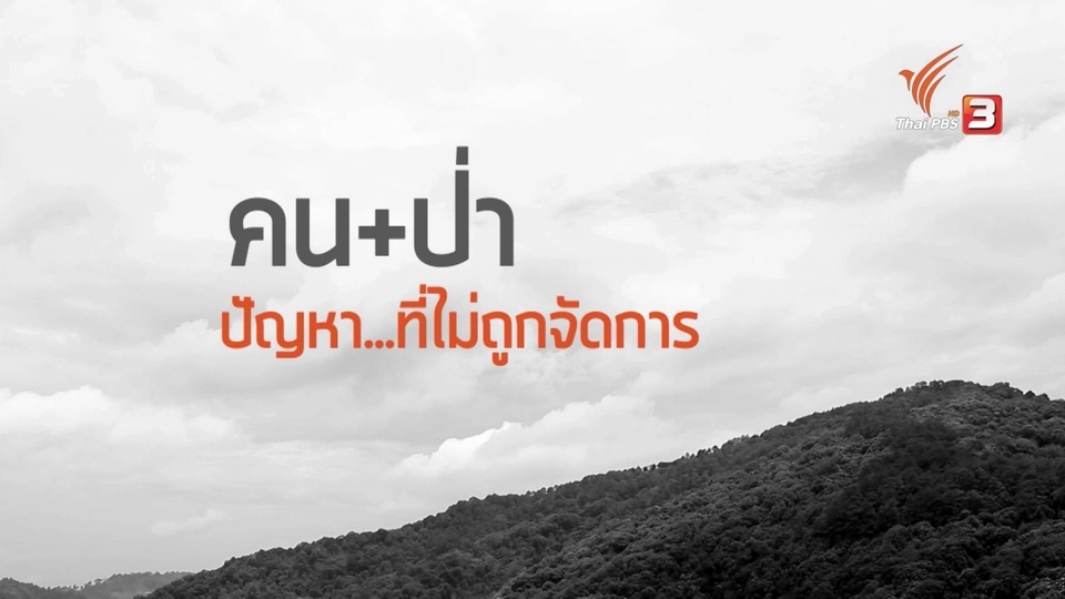 ปฏิบัติการป่าล้อมเมือง