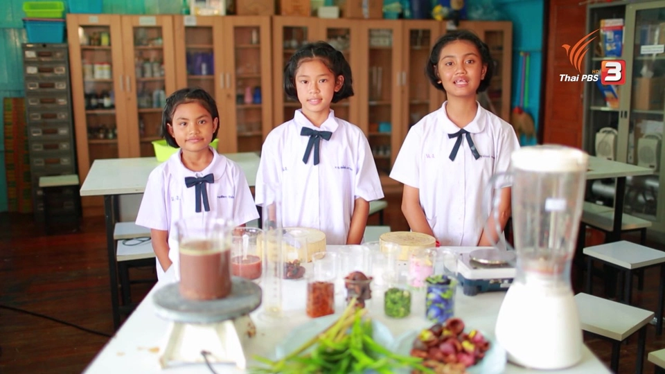 ช่วงทดลองโครงการ : สบู่กระดาษสมุนไพร