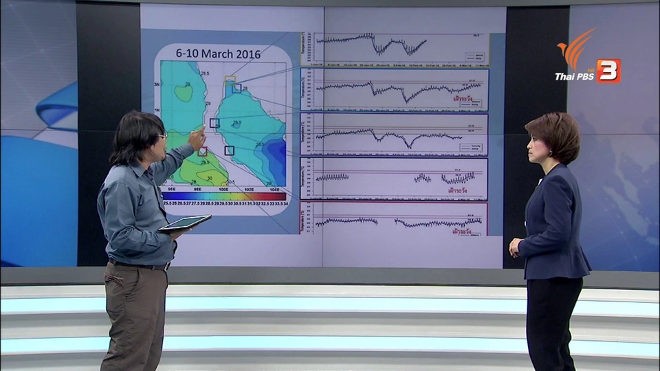 ปะการังฟอกขาว ปัญหาที่ต้องตื่นตัว