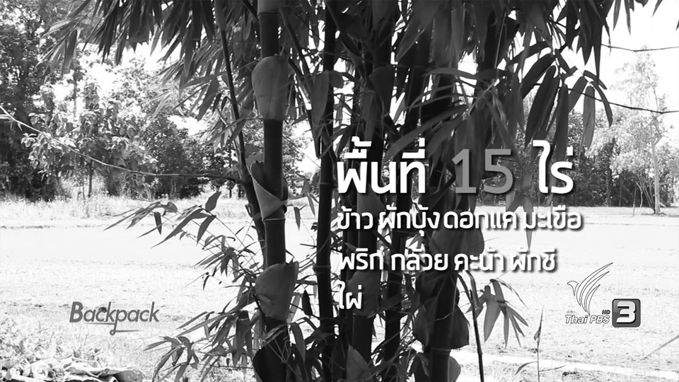 เส้นทางเกษตรยั่งยืน