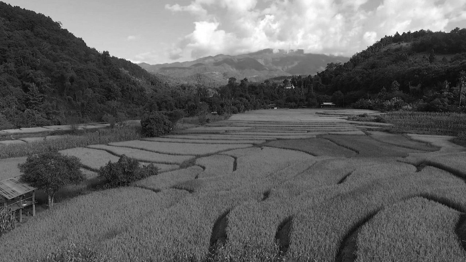 นาขั้นบันได