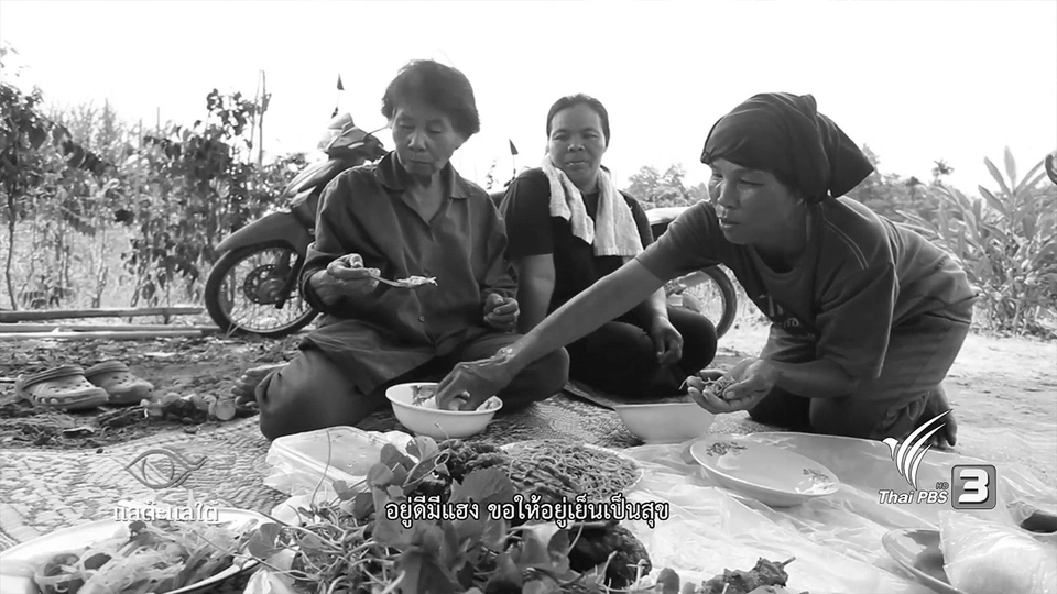 รวงข้าวของพ่อ​