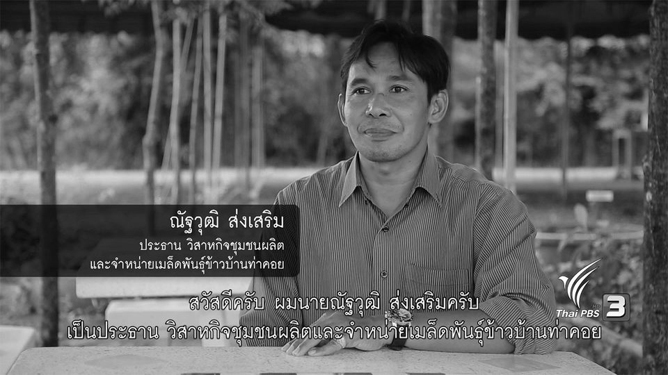 แหล่งอุดมเมล็ดข้าว ชาวนาภาคกลาง