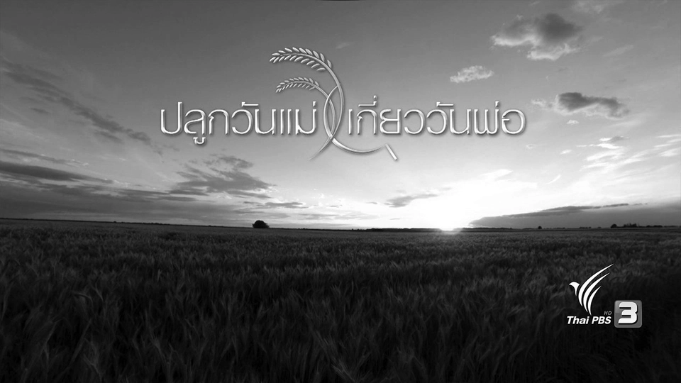 ข้าวเล้าแตก