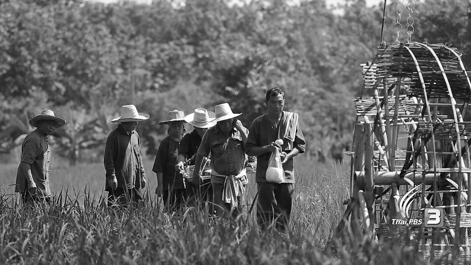 พิธีเลี้ยงผีฝาย