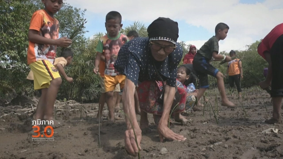 พลิกเหมืองให้เป็นป่า ที่บางพัฒน์