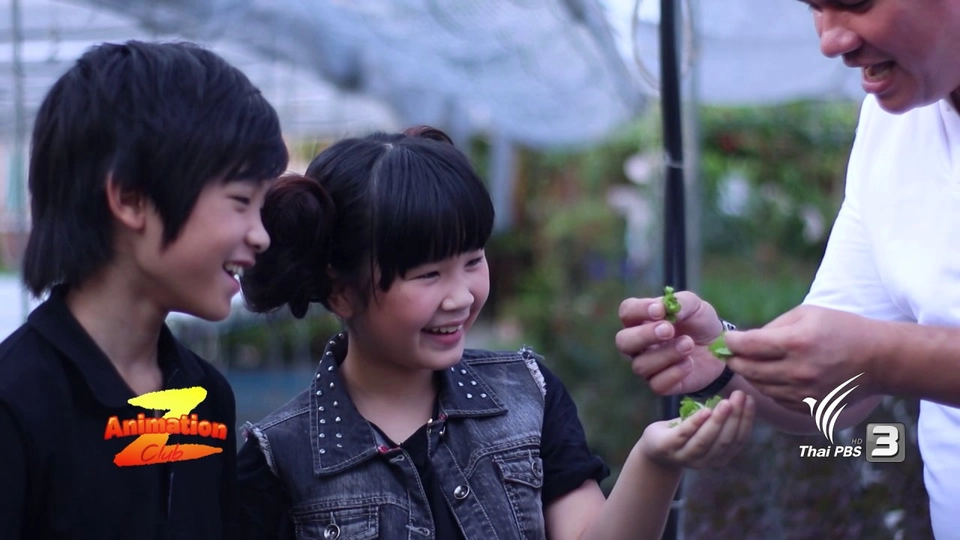 ​เกษตรกรปลูกผักกลางกรุง