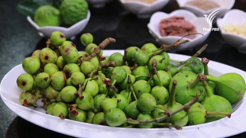 มะเดื่อ