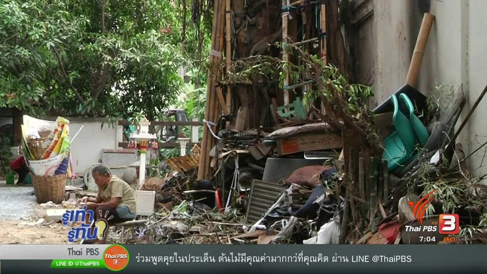 ต้นไม้" มีคุณค่ามากกว่าที่คุณคิด