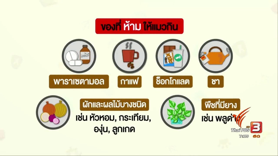 ​คาเฟ่สัตว์เลี้ยง เสี่ยงโรคติดต่อ