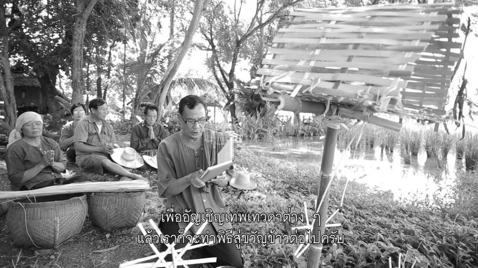 พิธีสู่ขวัญข้าว