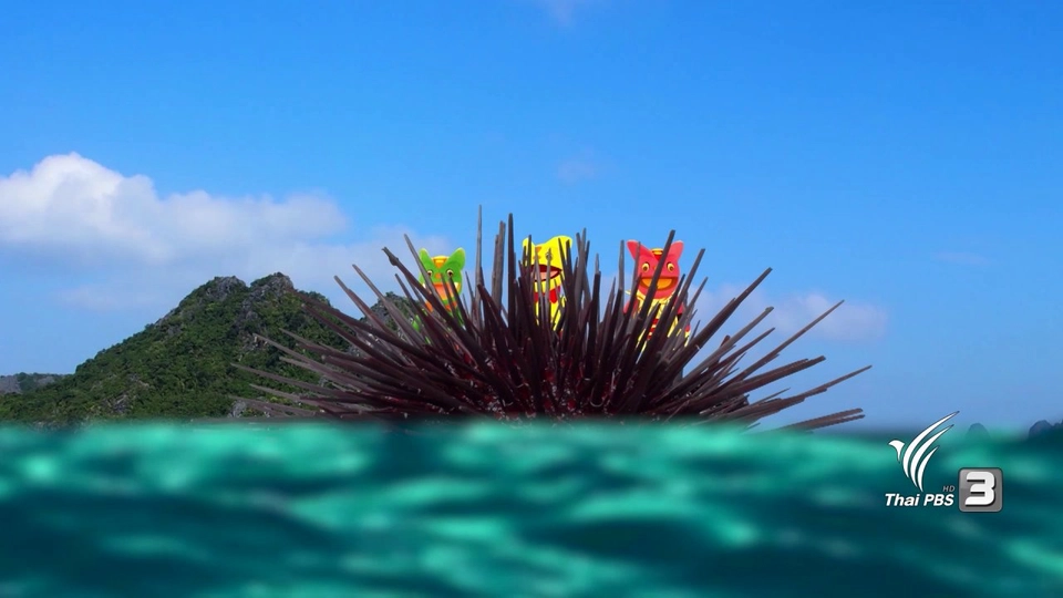 เม่นทะเลขึ้นบก