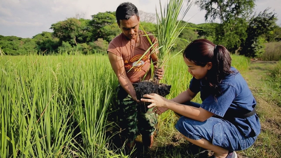 เกษตรกรแนวคิดใหม่