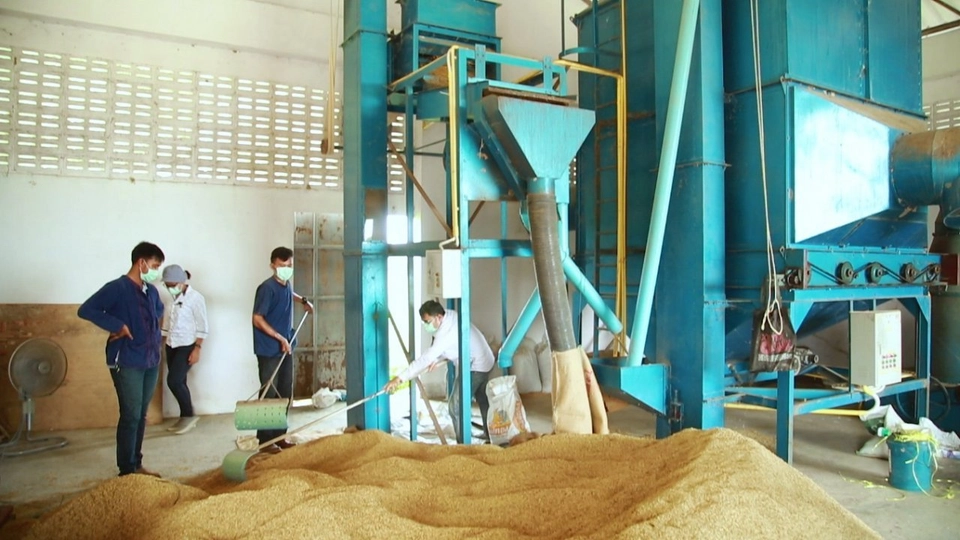 โรงสีข้าว