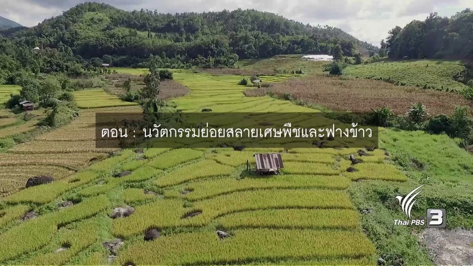 ​นวัตกรรมย่อยสลายเศษพืชและฟางข้าว