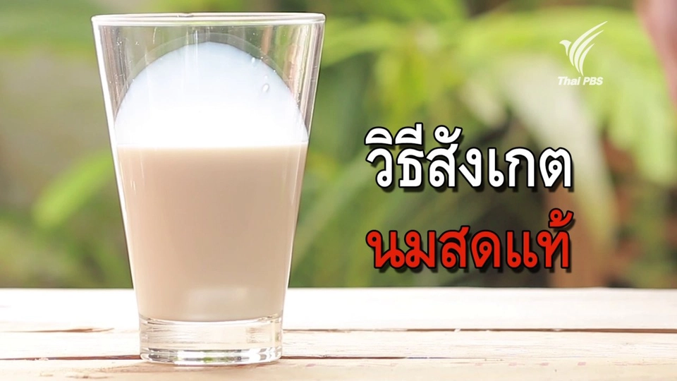 วิธีสังเกตนมแท้