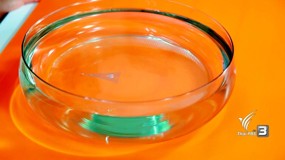 เรือพลังสบู่