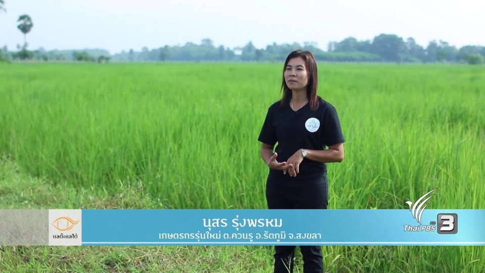 โรงสีโหม๋เรา บ้านหนองโอน​