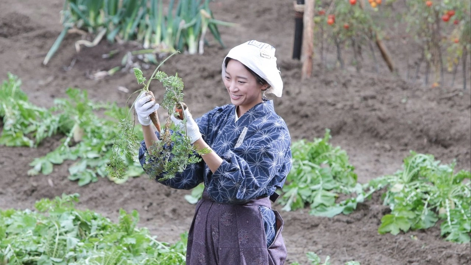 ซีรีส์ญี่ปุ่น ยอดหญิง...ยอดเชฟ (เริ่ม 29 ก.ค. 60)