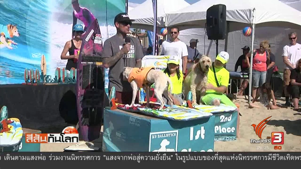 แข่งสุนัขเล่นกระดานโต้คลื่น