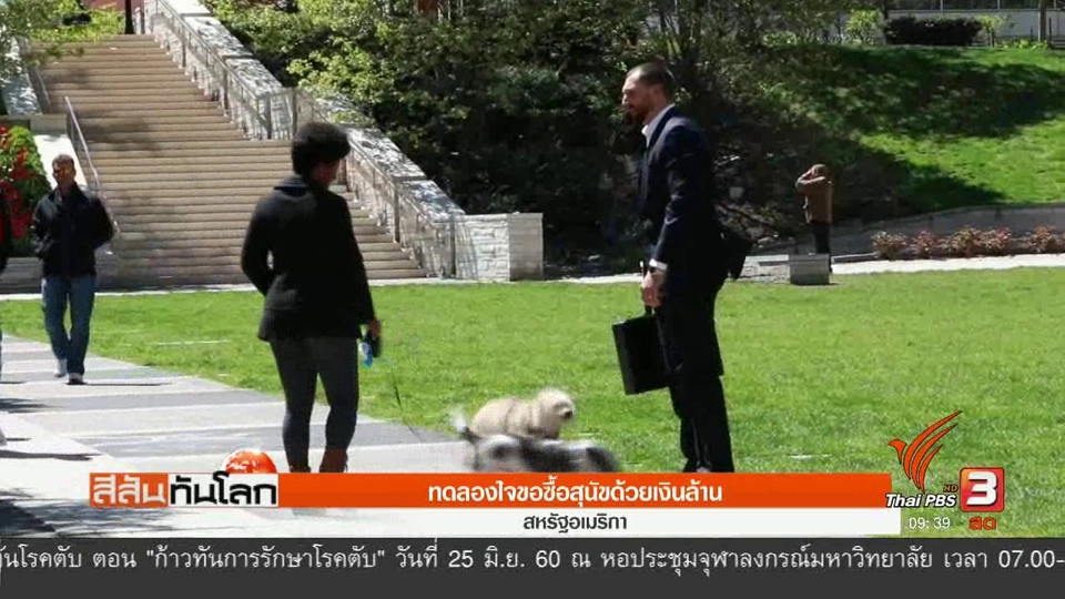 ประเด็นข่าว (10 มิ.ย. 60)