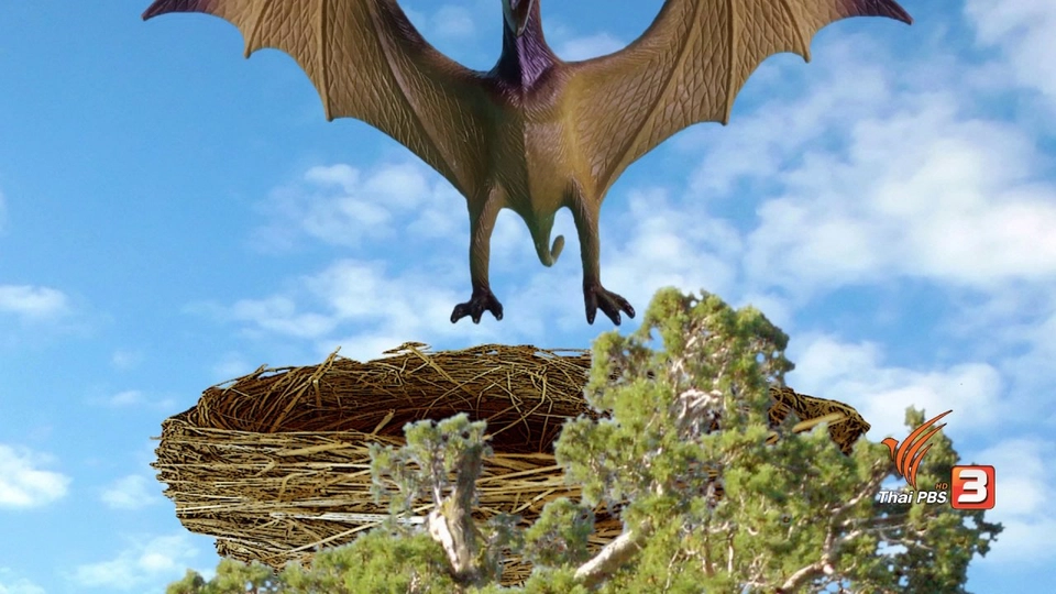 รังอะไรบนต้นไม้